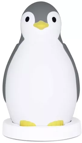 Image without description