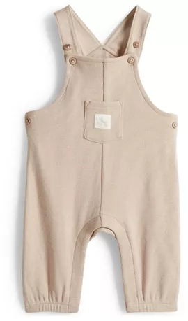 Image without description