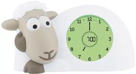 Image without description