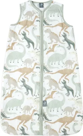 Image without description