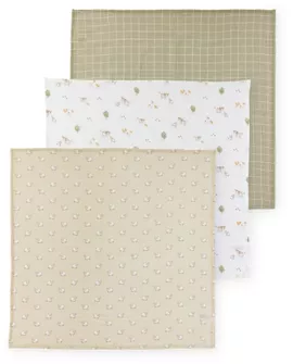 Image without description