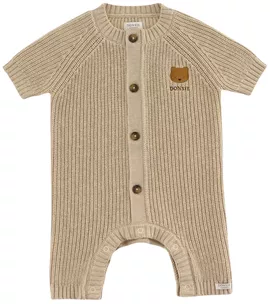 Image without description