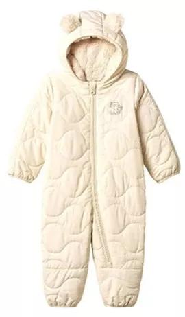 Image without description