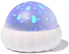 Image without description