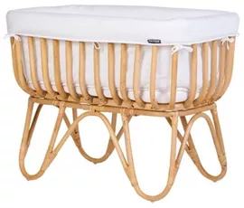 Image without description