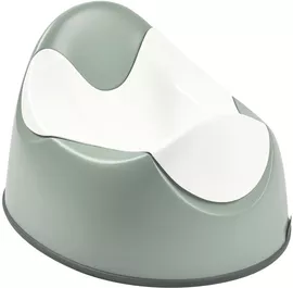 Image without description