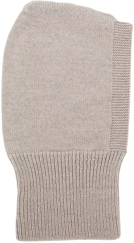 Image without description