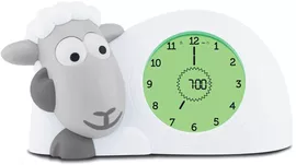 Image without description