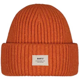 Image without description