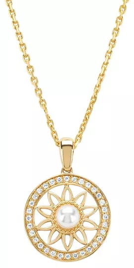 Image without description