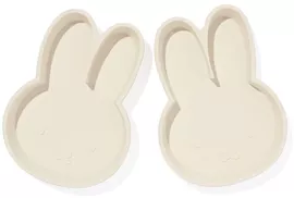 Image without description