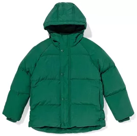 Image without description