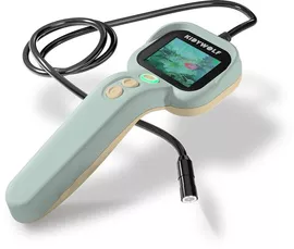 Image without description