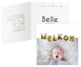 Image without description