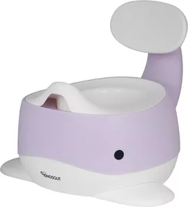 Image without description