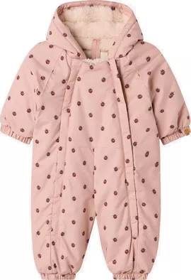 Image without description