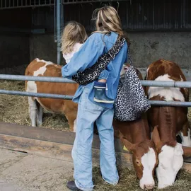 Image without description