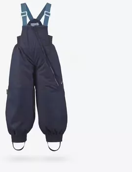 Image without description