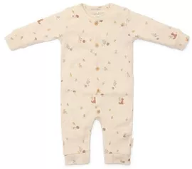 Image without description