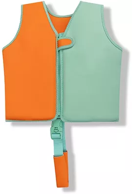 Image without description