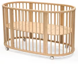 Image without description