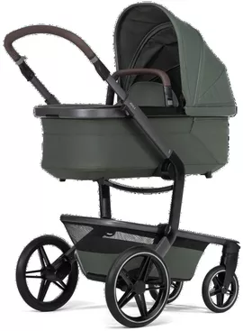 Image without description