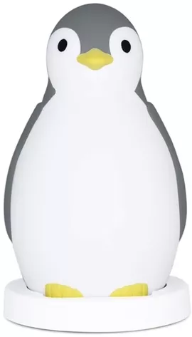 Image without description