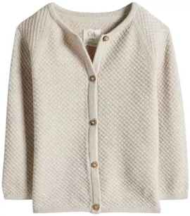 Image without description