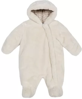 Image without description