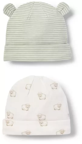 Image without description