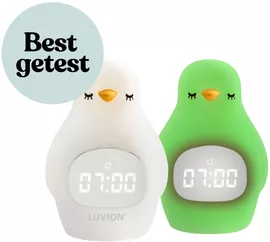 Image without description