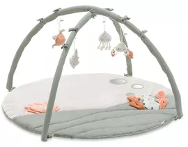 Image without description