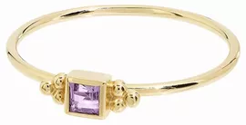 Image without description