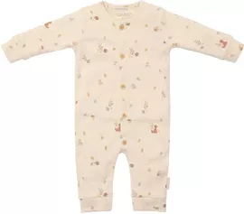 Image without description