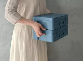 Image without description