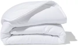 Image without description