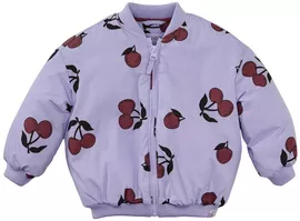 Image without description